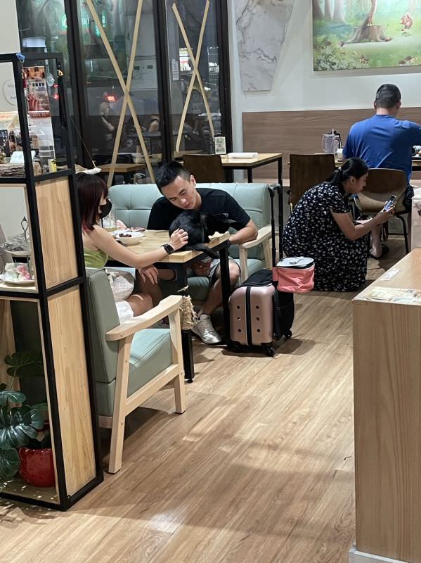 对宠物超友善